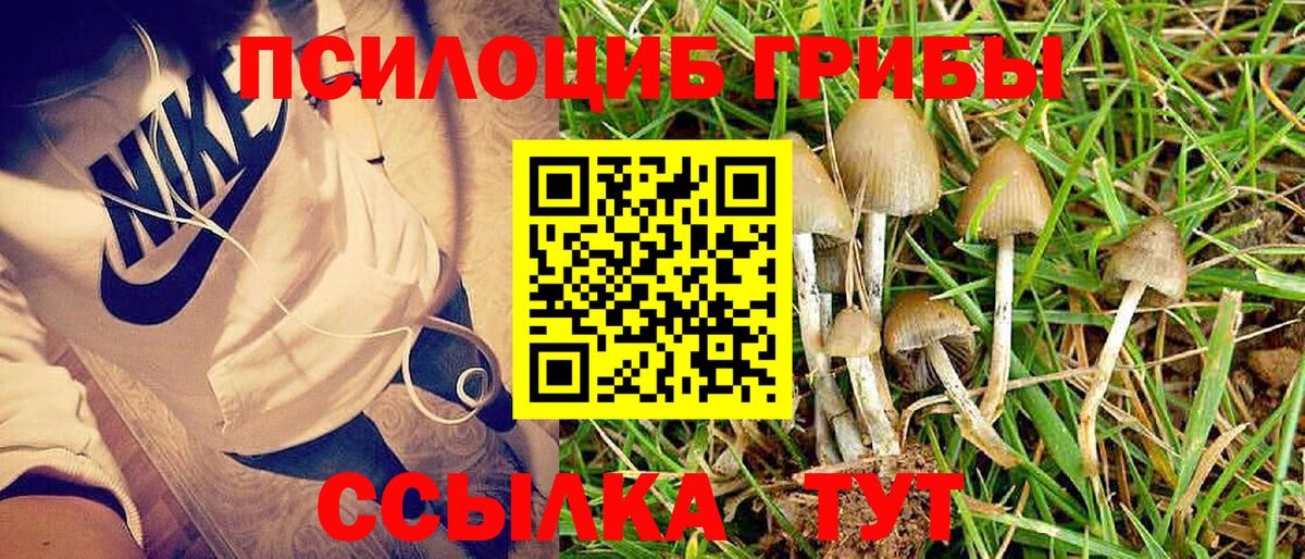 Псилоцибиновые грибы мухоморы Белебей